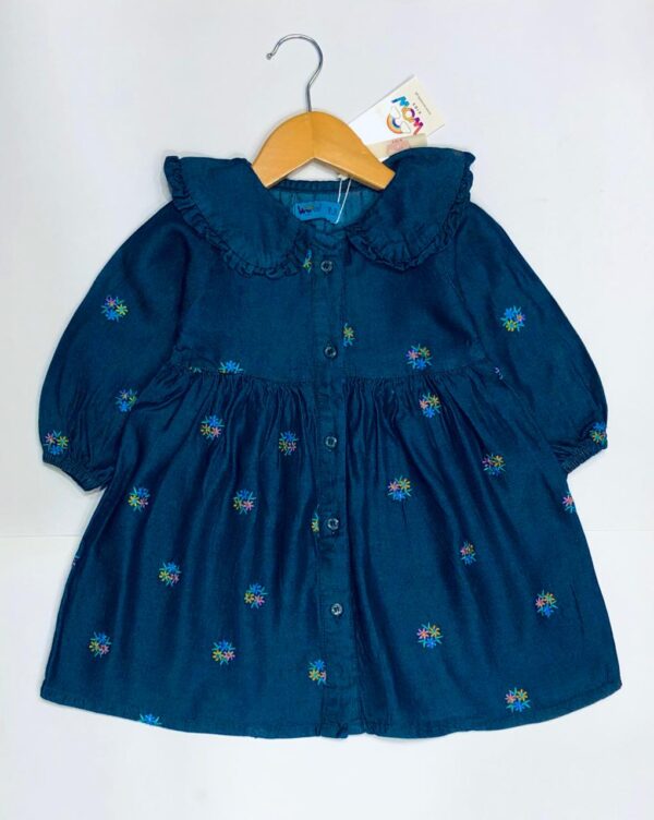 Denim Frocks
