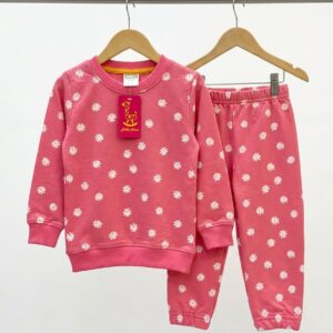 Terry Pink Sweatsuit (01)