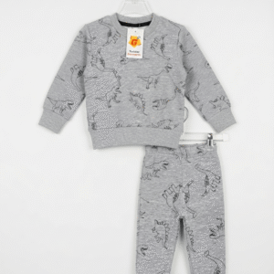 Grey Dino Sweatsuit
