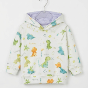 Blue Dino Hoodie