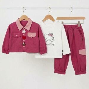 Dark Pink Denim 3pc Suit